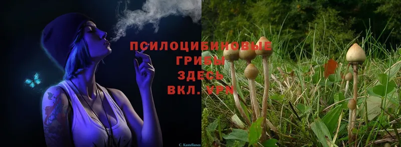 блэк спрут ONION  даркнет какой сайт  Галлюциногенные грибы MAGIC MUSHROOMS  Нижняя Салда 